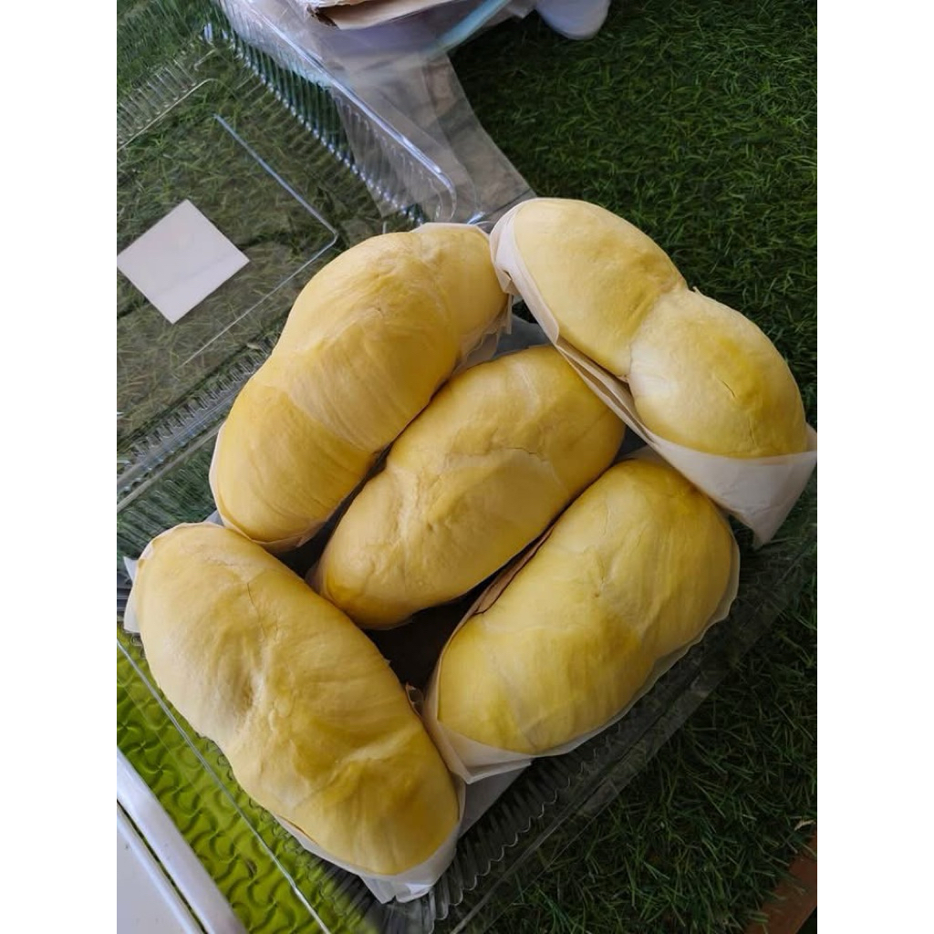 ทุเรียนหมอนทองเนื้อพรีเมี่ยม เลือกเนื้อได้ ส่งกทม. ปริมณฑล ภายใน 1-2 ชม. ต่างจังหวัดส่งรถเย็น 1-3 วัน ค่าส่งถูก - รูปที่ 3