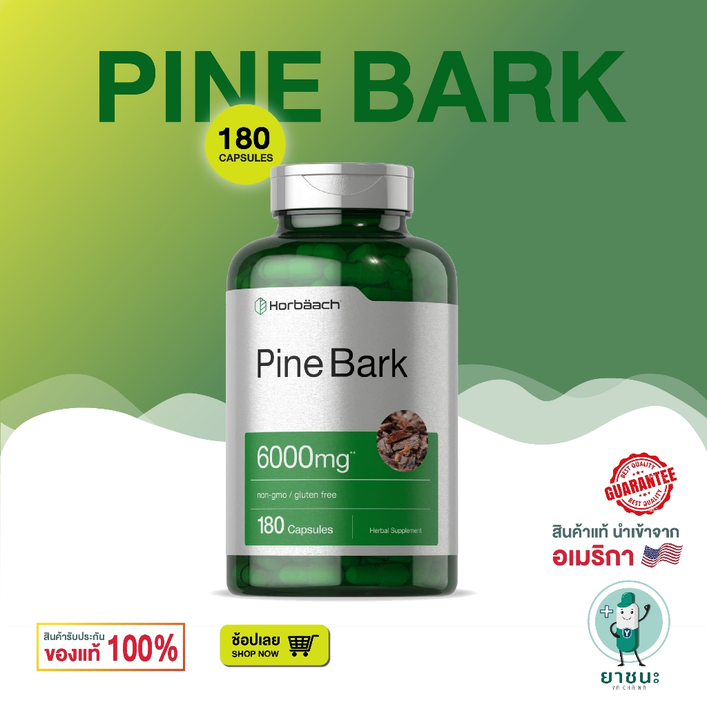 [ของแท้ 100% + พร้อมส่ง] 💖 Horbaach Pine Bark Extract 6000 mg | 180แคปซูล สารสกัดเปลือกสน