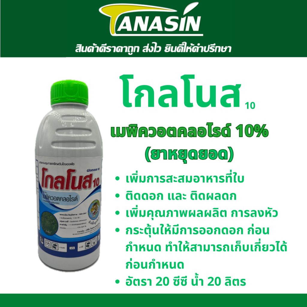 โกลโนส เมพิควอตคลอไรด์10% ยาหยุดยอดช่วยสะสมอาหารกระตุ้นการติดดอกออกผล เร่งผลดกผลสมบูรณ์หยุดการบ้าใบบ้าต้นใช้ได้กับทุกพืช