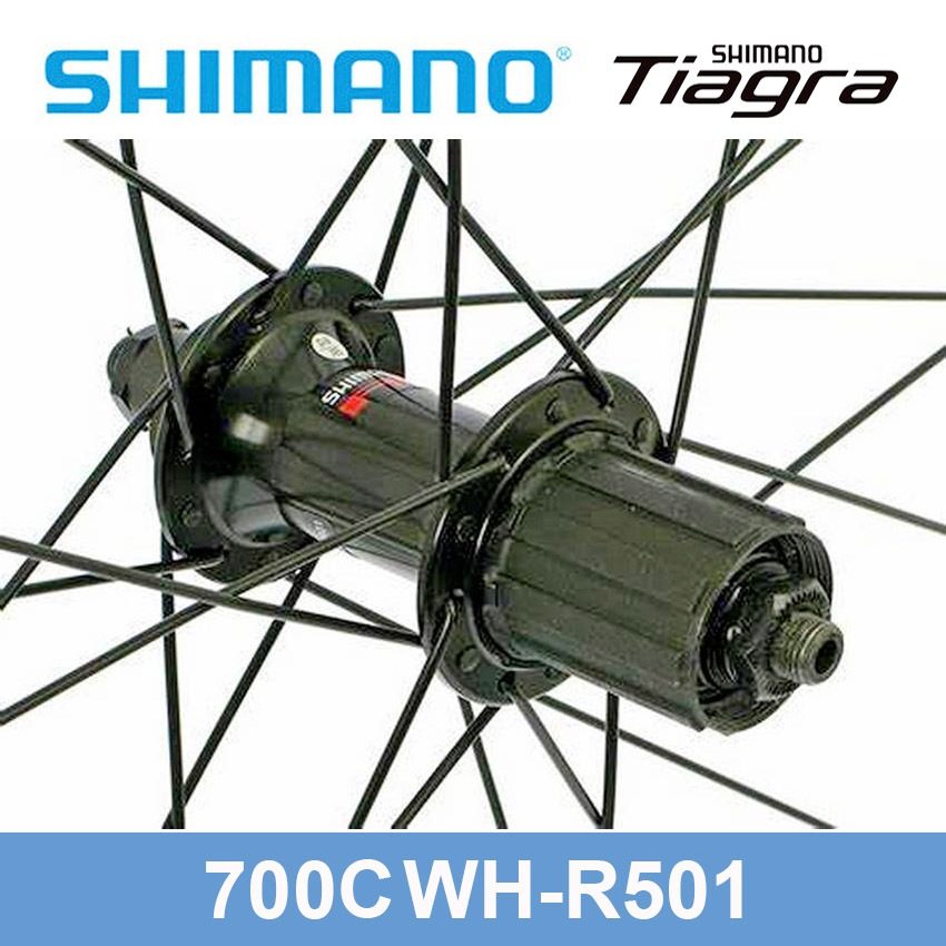 (ของแท้ศูนย์ไทย)ล้อจักรยานเสือหมอบ/ไฮบริด700c(622x15C) Shimano WH-R501F Rim Brake 20/24H - รูปที่ 5