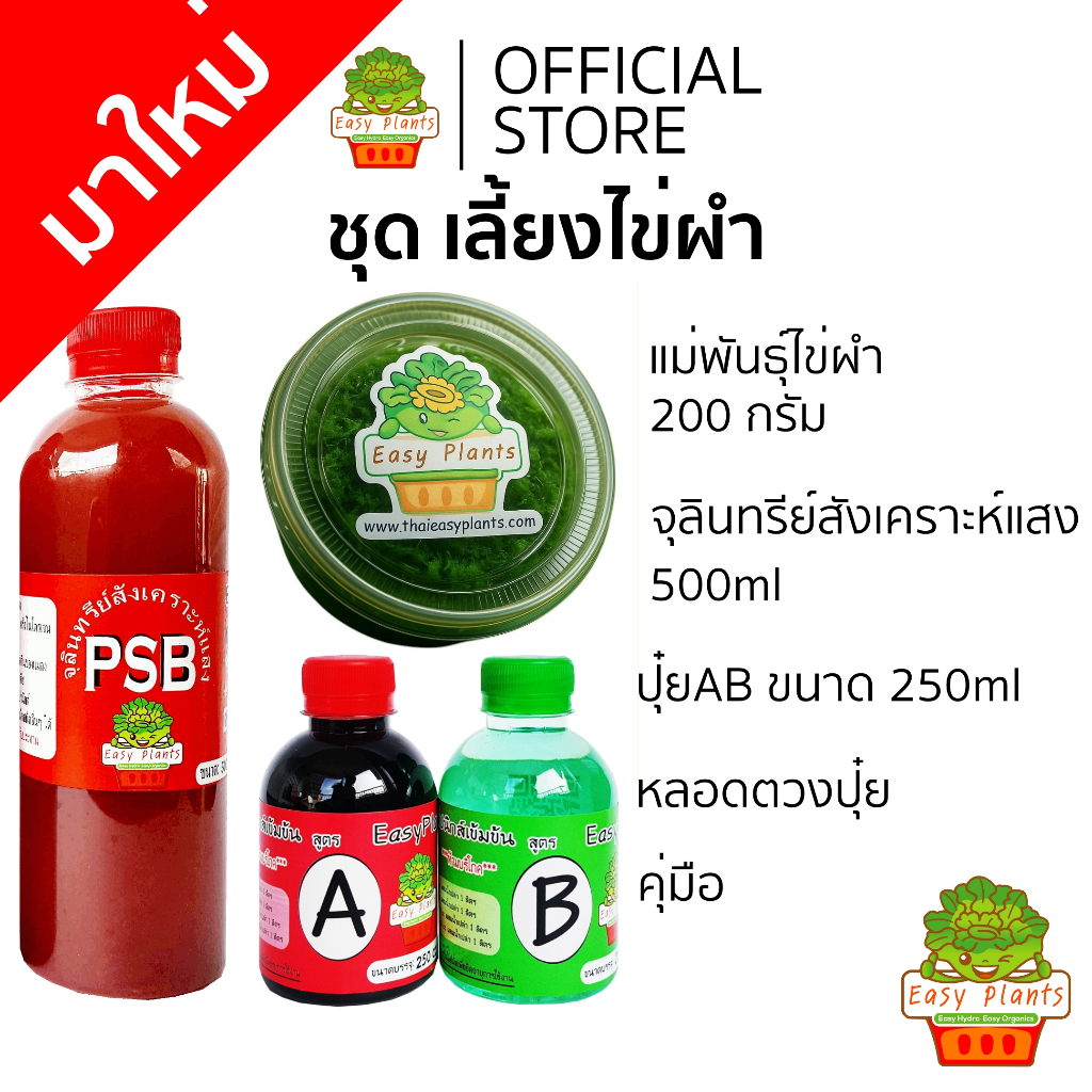 ชุด Kit เลี้ยงผักผำ ผัก Wolffia เลี้ยงได้ 2 กาละมัง ชุดมือใหม่ เลี้ยงง่าย โตไว ครบ จบ ในชุดเดียว