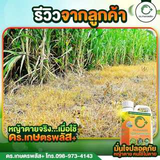 ของแท้ ต้องราคานี้เท่านั้น ผลิตภัณฑ์กำจัดวัชพืชแบบปลอดภัยไร้สารเคมี ปลอดภัยต่อคนใช้งานและสัตว์เลี้ยง 1 แกลลอน