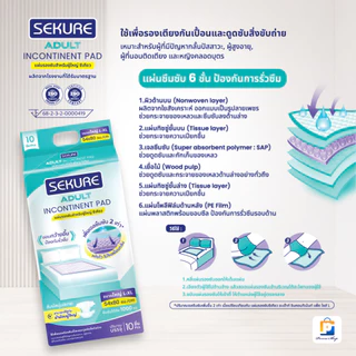 [สั่ง1ลัง/1บิล] SEKURE แผ่นรองซับ แผ่นรองซับผู้ใหญ่ ซีเคียว Size L-XL ขนาด 54X80 cm. (จำนวน 1 ลัง 12 ห่อ 120 ชิ้น)
