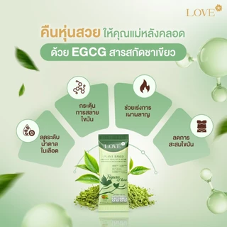 Love Plant Based Protein เลิฟ โปรตีนพืช สูตรแพทย์ รสชาเขียว (Matcha) สูตรดูแลหุ่นหลังคลอด