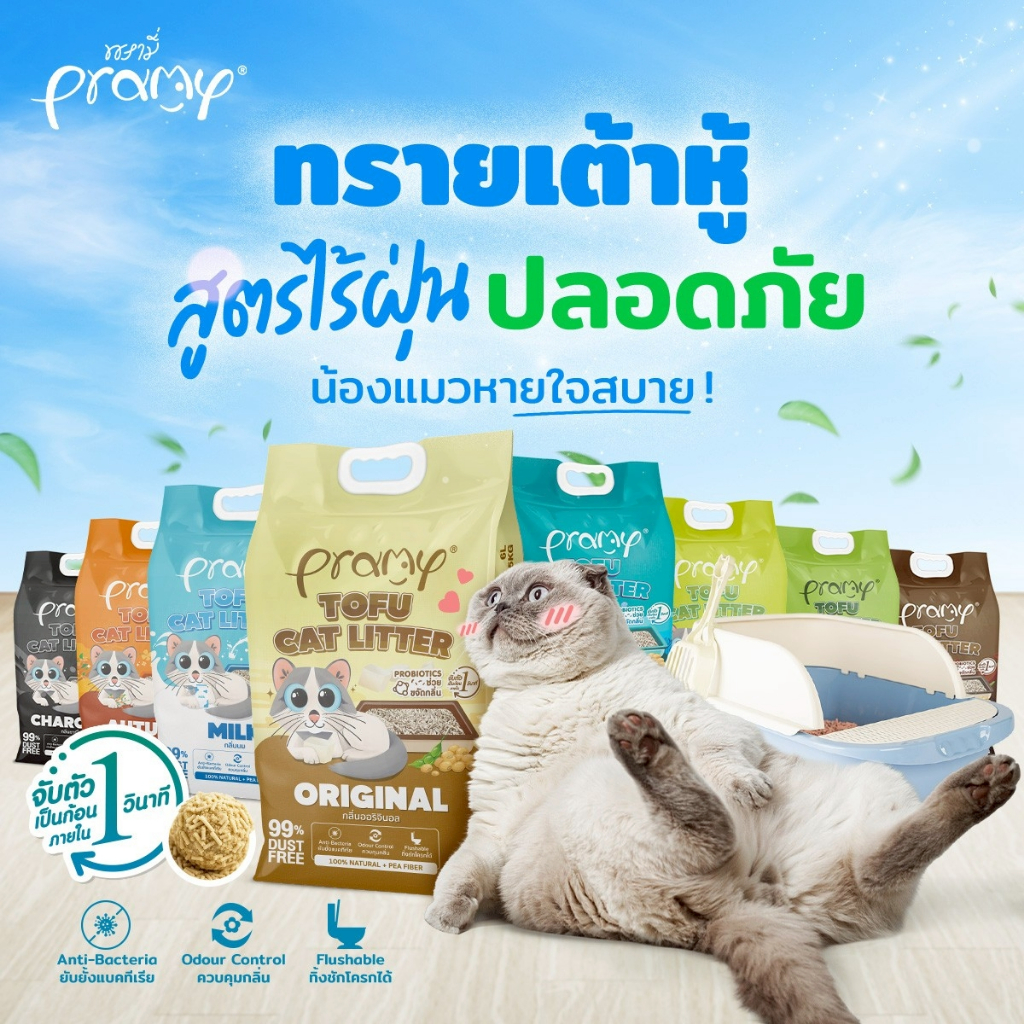 Pramy ทรายแมวเต้าหู้ สูตรไร้ฝุ่น จับตัวเป็นก้อนเร็ว จากใยถั่วเหลืองธรรมชาติ มีให้เลือก 11 กลิ่น
