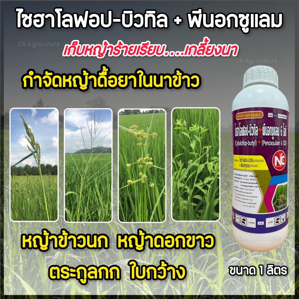 ไซฮาโลฟอบ บิวทิล + พีน็อกซูแลม (สารเดียวกับ แอคเซ็บท์ ) 2พลังบวก หยุดหญ้าดื้อ กำจัดหญ้าในนาข้าว ใบกว้าง ใบแคบ กก 1 ลิตร