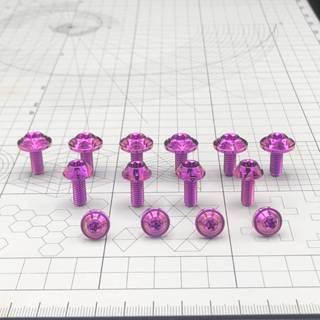 น็อตยึดชิวหน้าไทเทเนียม ดาว2ชั้น Forza 350 1ชุด 14ตัว