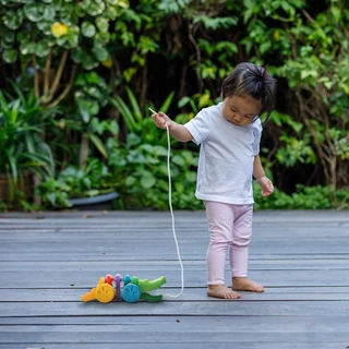 PlanToys ของเล่นไม้ 1416 Rainbow Alligator จระเข้สีรุ้ง เสริมพัฒนาการ สำหรับเด็กอายุ 12 เดือน ขึ้นไป