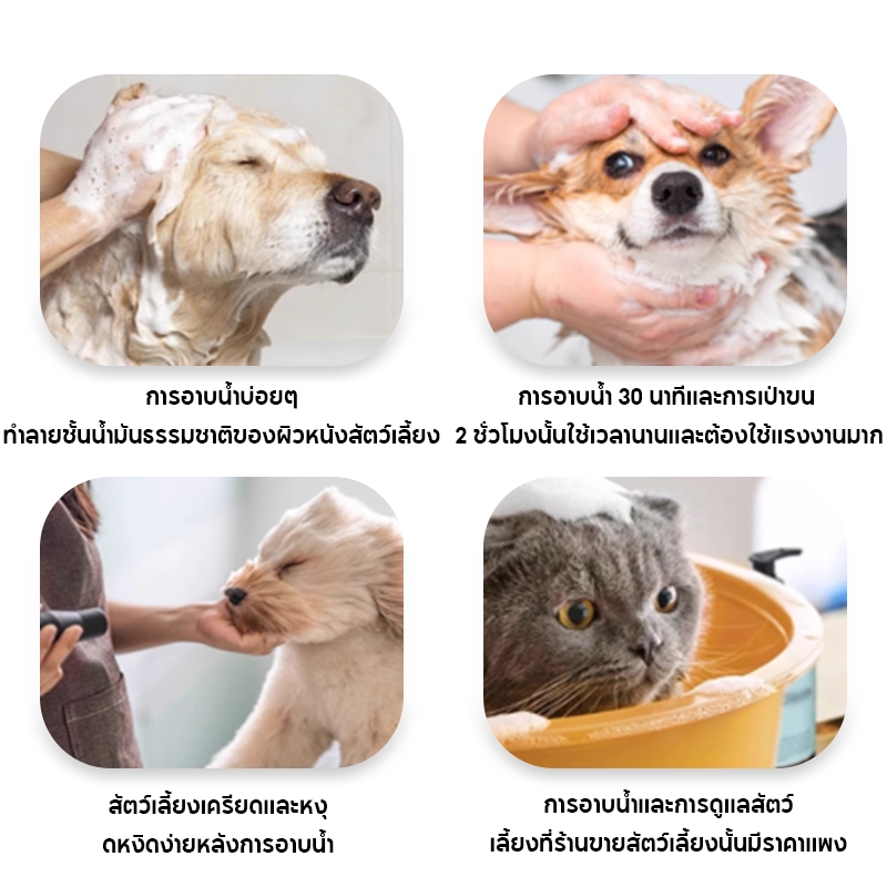 แชมพูสุนัข แชมพูแมว ดับกลิ่น 200ml/500ml สะอาดและ สูตรอ่อน อาบน้ําแมว อาบน้ําแมว ของใช้แมว ราคา ถูกที่สุด ดีลบีเคเค แกลเลอรีภาพที่ 7