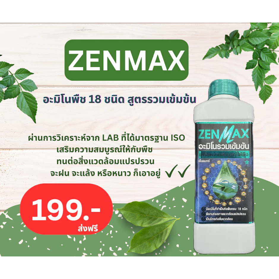 Zenmax อะมิโนพืช สูตรรวมเข้มข้น 18 ชนิด ชุด 1 ลิตร 199 บาท Z1