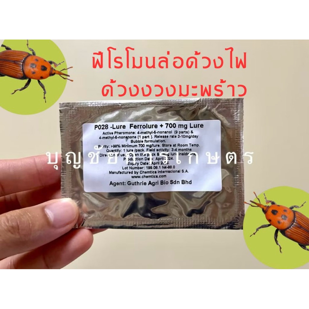 ฟีโรโมนล่อด้วงไฟ ด้วงสาคู ด้วงงวงมะพร้าว