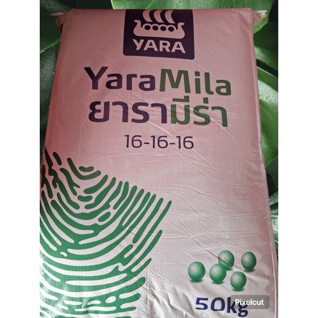 ปุ๋ยยารามีร่า16-16-16 ขนาด1 กิโลกรัม