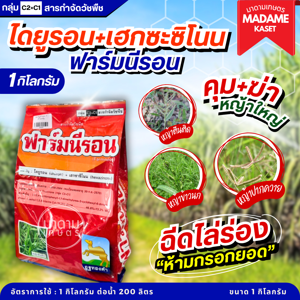 ใหม่! ฟาร์มนีรอน(ไดยูรอน+เฮกซะซิโนน) สูตรเม็ดออกฤทธิ์คุม+ฆ่า ได้ทั้งอ้อยตอ อ้อยปลูกใหม่ ฉีดพ่นใกล้ไร่มันได้ (1 กิโลกรัม)