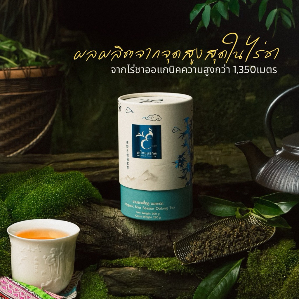 ชามรกต 4 ฤดู Four Season Emerald Oolong Tea ชาอู่หลง ชา4ฤดู เบอร์ 21 - ตรา ชาไทยมรกต ใบชาโชคจำเริญ