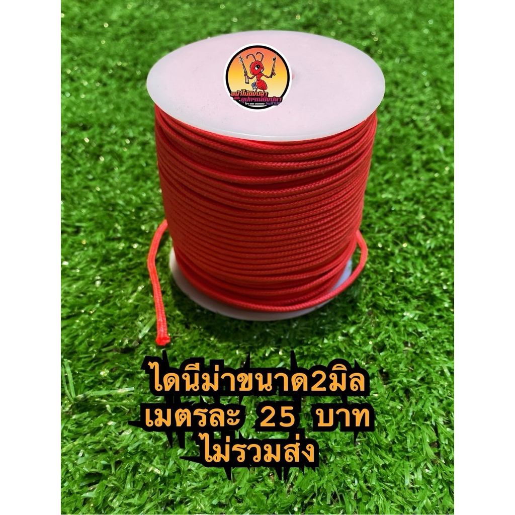 เชือกไดนีม่า ขนาด2มิล ยาว2เมตร และ 4 เมตร – โปรปัง