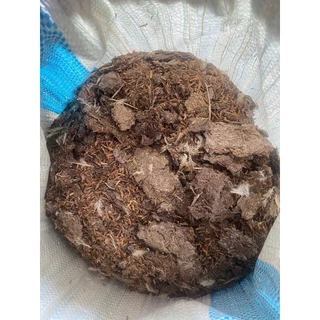 ขี้ไก่แกลบ 100% 10kg สำหรับการเพิ่มธาตุอาหารในดิน ช่วยเพิ่มผลผลิตพืช