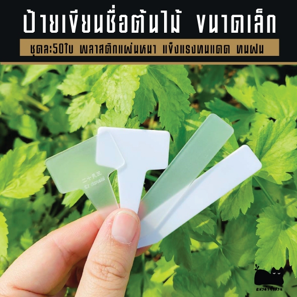 ป้ายเขียนชื่อต้นไม้ขนาดมินิ ป้ายชื่อต้นไม้ขนาดเล็ก แผ่นหนา ชุดละ50ใบ ป้ายชื่อมินิ สีใส สีขาว