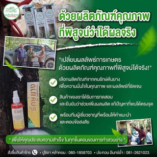 ฮอร์โมน รักยาง ช่วยเพิ่มการผลิตน้ำยาง ป้องกันและรักษาเชื้อราต่างๆ เพิ่มผลผลิต รักษาหน้ายาง