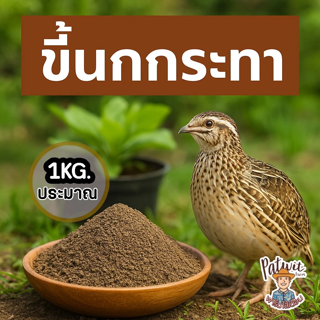 (2ถุง50)(15ถุงส่งฟรี)ขี้นกกระทา ขนาดประมาณ 1KG. ไนโตรเจนสูง 9% ธาตุอาหารเยอะกว่าขี้หมู ขี้วัว ขี้ไก่