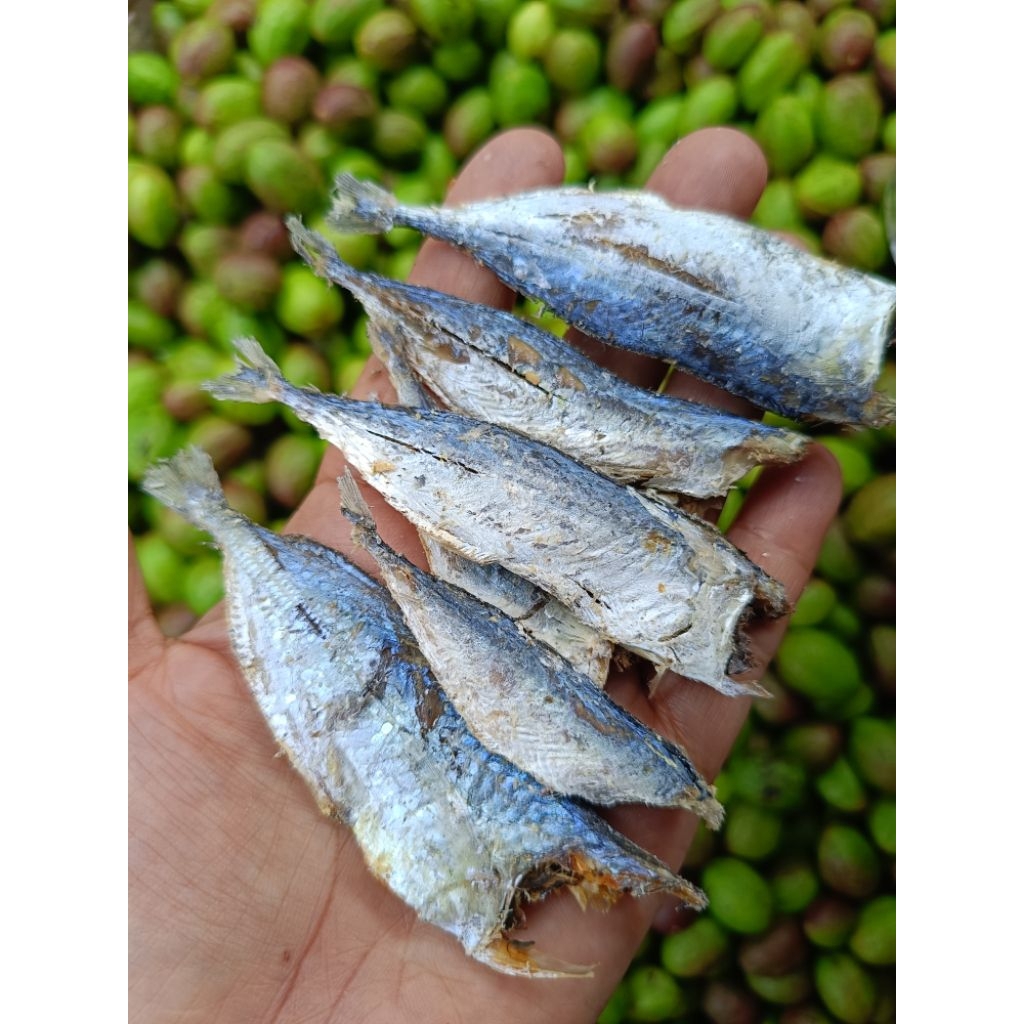 ปลาทูเค็มเล็กจิ๋วมีหัว,ตัด..500gm.(ครึ่งโล)
