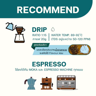 Go Blend (เมล็ดกาแฟคั่วกลางค่อนเข้ม medium to Dark Roast รสเข้ม หอมกลิ่นช็อกโกแลต ปรีดา)