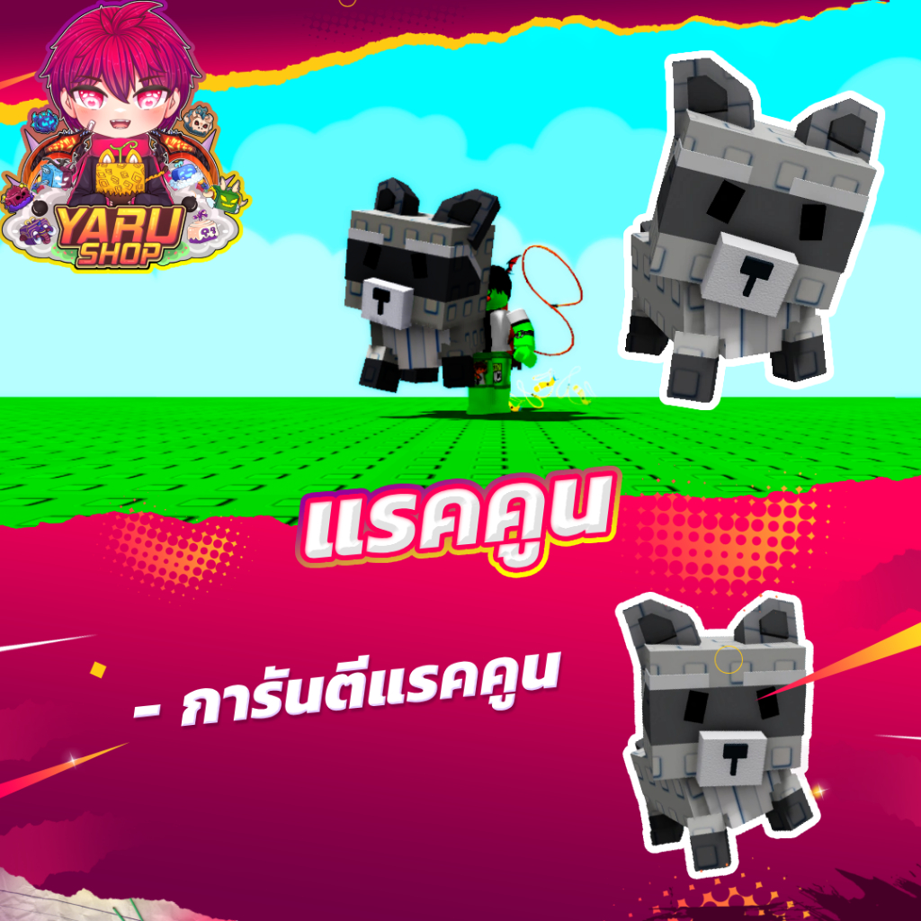 แรคคูณ grow a garden การ์ดเกม