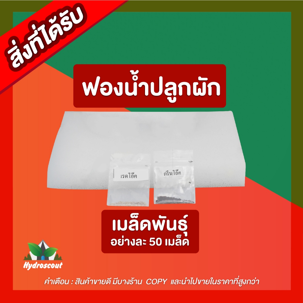 ชุดปลูกผักไฮโดรโปนิกส์ พร้อมปลูก กระบะใส 5 ช่องปลูก by hydroscout - รูปที่ 3