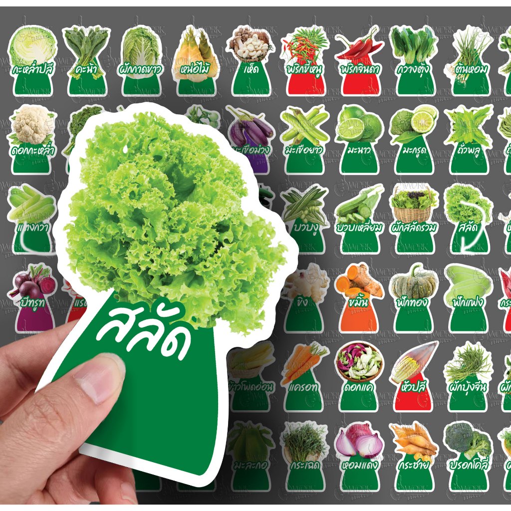 ป้ายผักมินิ ขนาด A6 ฟิวเจอร์บอร์ดไดคัท