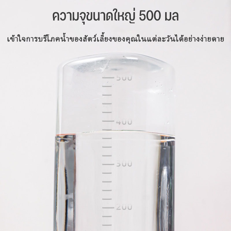 พร้อมส่ง สไตล์ญี่ปุ่น สูง ชามอาหารแมว แบบเอียง ชามอาหารแมว สําหรับสัตว์เลี้ยง สุนัข แมว ราคา ถูกที่สุด ดีลบีเคเค แกลเลอรีภาพที่ 5