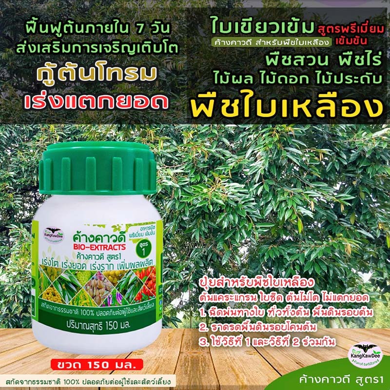 ปุ๋ยพืชใบเหลือง ไม่แตกยอด ค้างคาวดี(สูตร1,สูตร2,สูตร3)150มล กู้ต้นโทรม บำรุงต้น ช่วยให้ติดดอกออกผล