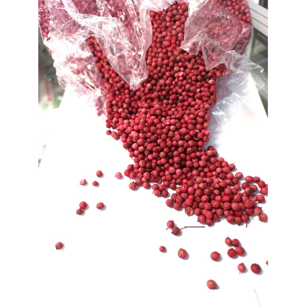 เมล็ดผักชี หอมป้อม ขนาด 100 กรัม(1ขีด) เมล็ดเกรดAAA เมล็ดใหม่ ไม่ค้างปี อัตรางอกสูง ทนต่อโรคพืช