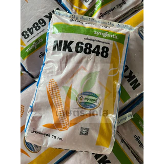 เมล็ดพันธุ์ข้าวโพด NK 6848 (3/3.5 หุน) *ขนาด 10 กก. ทนแล้ง ปลูกถี่ได้ ลำต้นแข็งแรง