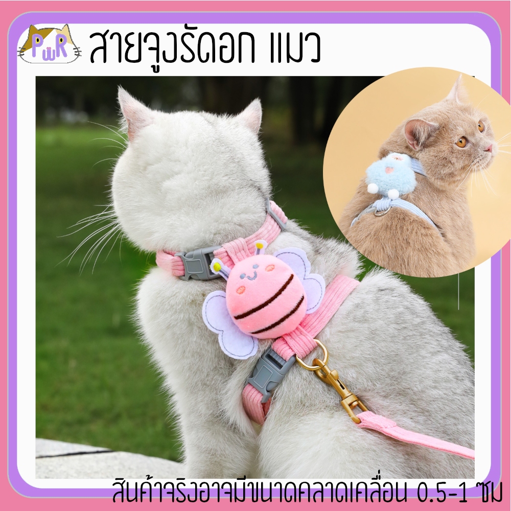 สายจูง ที่รัดอก สำหรับแมว cat leashes [สายผึ้งสายแกะ]