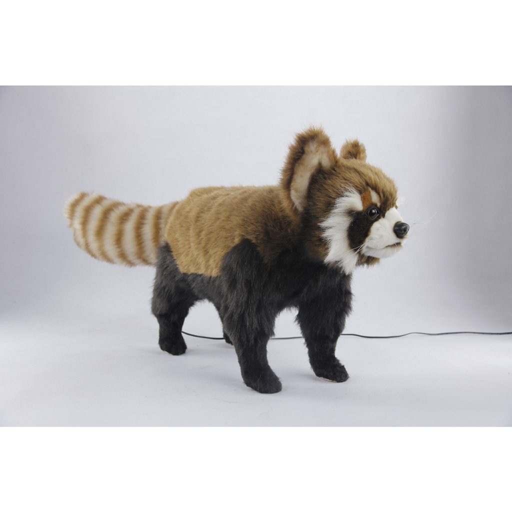 7545 Red Panda Standing 60cm.H