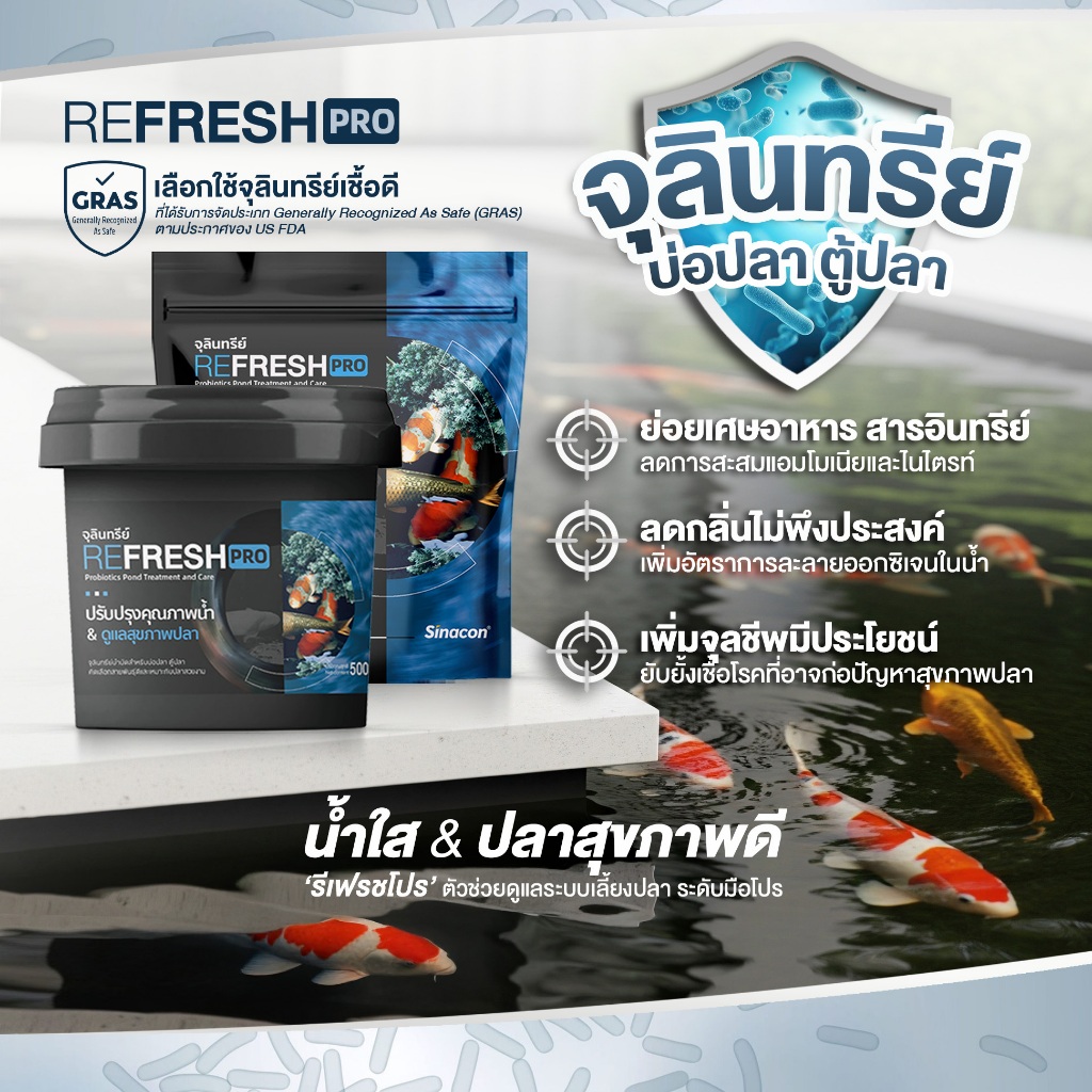 [ล็อตใหม่ผงสีขาว] Refreshpro จุลินทรีย์บ่อปลา แบคทีเรียตู้ปลา ปรับสภาพน้ำ น้ำใส ปลอดภัย ไม่มีสารเคมี