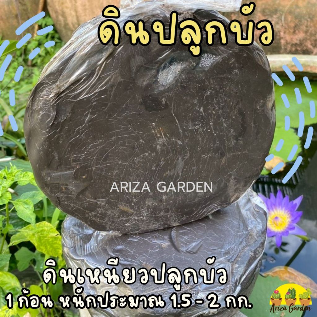 ดินบัว ดินเหนียวปลูกบัว ดินปลูกบัว ดินเหนียวอย่างดี