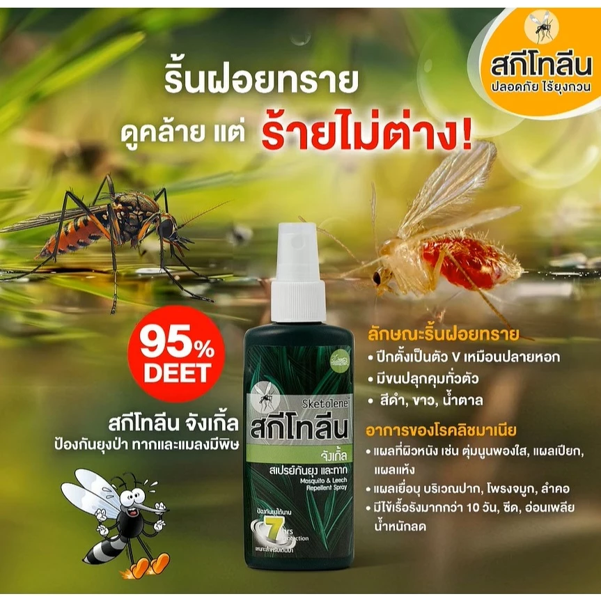 (1 ขวด)Sketolene สกีโทลีน จังเกิ้ล สเปรย์กันยุง และทาก 70 มล. สเปรย์กันยุงสำหรับนักเดินป่า แคมป์ปิ้ง Jungle Deet95% thumbnail 4