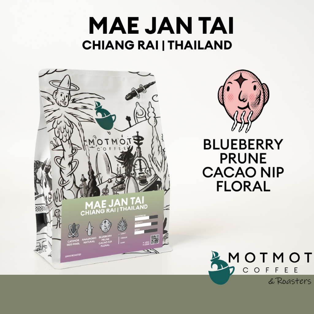 Mae Jan Tai Chiang-Rai Thailand (Anaerobic Washed & Natural) | กาแฟ แม่จันใต้ เมล็ดกาแฟคั่ว MOTMOT COFFEE รูปที่ 8