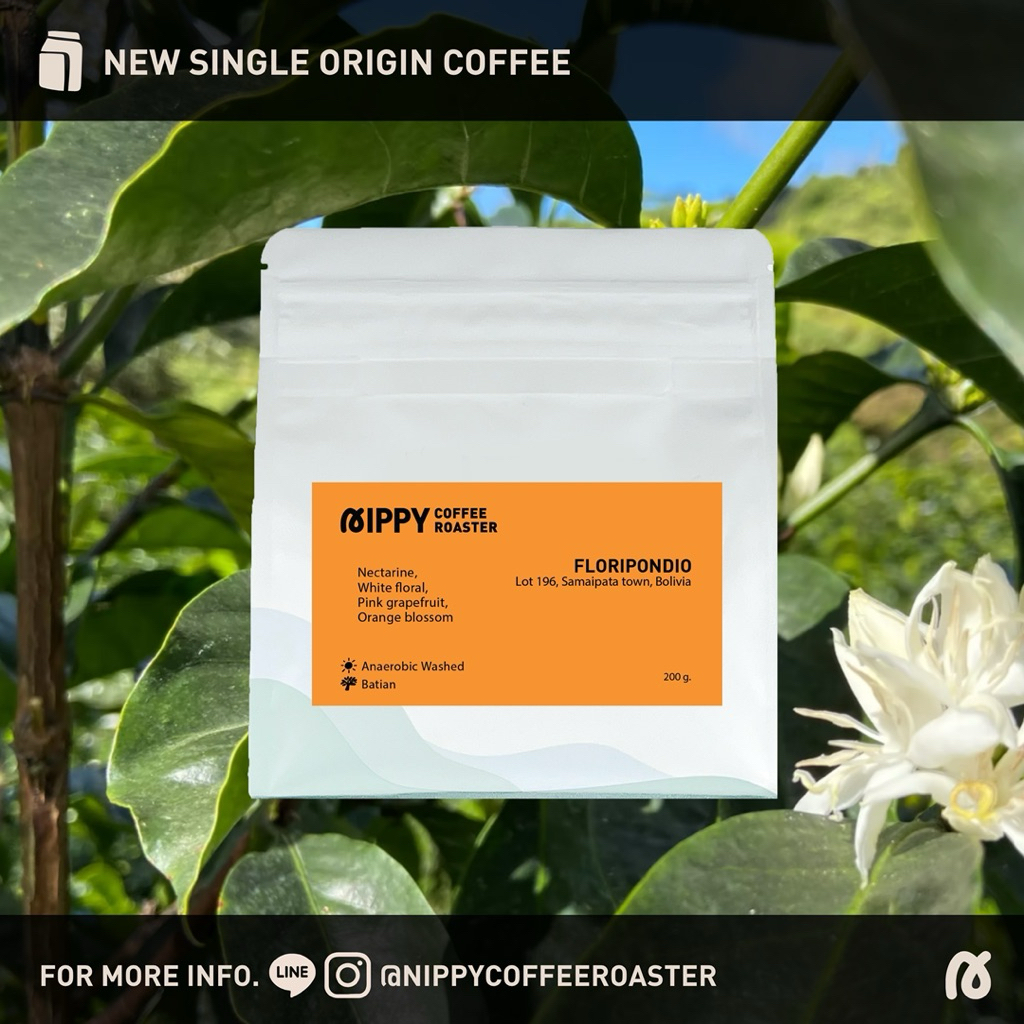 Nippy Coffee Roaster เมล็ดกาแฟคั่ว Bolivia Floripondio Batian Washed