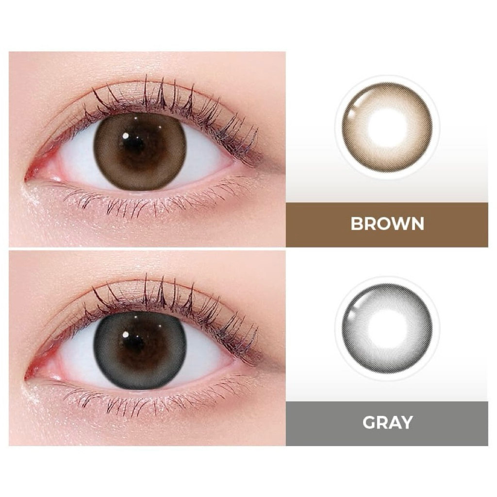 {{พร้อมส่ง}} รายวัน LENSTOWN รุ่น 247 BOM Brown, Gray คอนแทคเลนส์เกาหลี