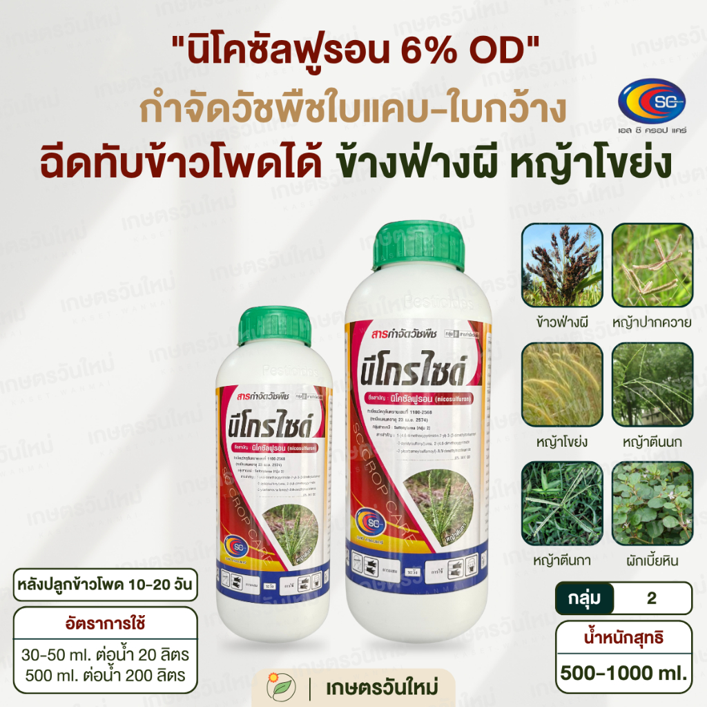 👩🏻‍🌾 นีโกรไซต์ (นิโคซัลฟูรอน 6%) กำจัดวัชพืชในไร่ข้าวโพด หญ้าโขยง ข้าวฟ่างผี ข้าวโพดผี หญ้าปากควาย / SC