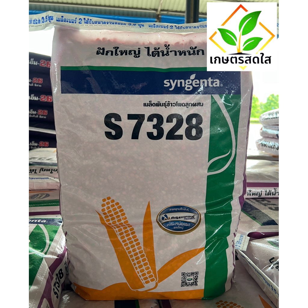 ข้าวโพด NK s7328 ขนาด 10 กก. (3.5 หุน) ลำต้นอวบใหญ่ ระบบรากแข็งแรง  ฝักใหญ่ ได้น้ำหนัก