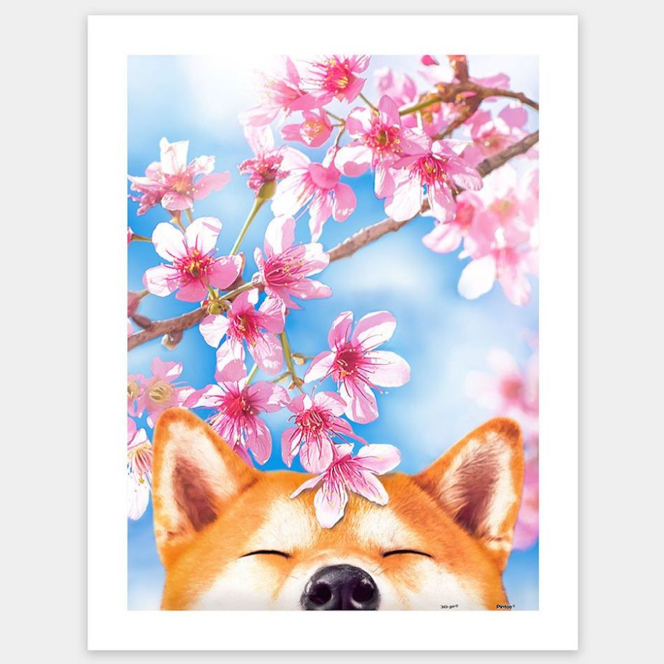 PINTOO: Cherry Blossom - Sakura Shiba (300 Pieces) [Plastic Jigsaw Puzzle]