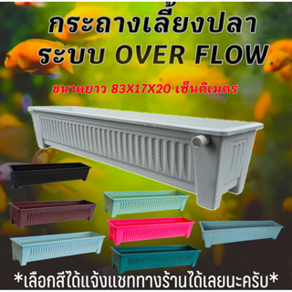 กระถางเลี้ยงปลา overflow กะบะเลี้ยงปลา อ่างเลี้ยงปลา อ่างเลี…