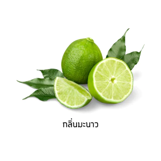i Care ชุดทำน้ำยาล้างจานสูตรเข้มข้นขจัดคราบมันพิเศษ ฟองมาก ทำใช้เองได้ 15 ลิตร พร้อมวิธีทำง่ายๆ