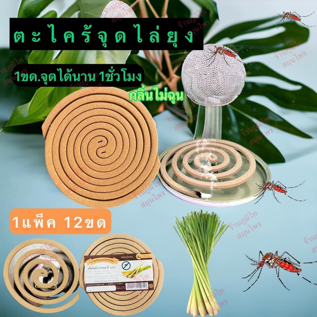 จุดกันยุงแบบขด (น้ำตาล/เขียว) ราคา ถูกที่สุด ดีลบีเคเค แกลเลอรีภาพที่ 5