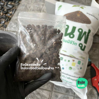 set x3 ดินฟู ~ ดินมีชีวิต : แถมฟรี >> Growth Hormone x1 ขวด ปริมาน 250 ml
