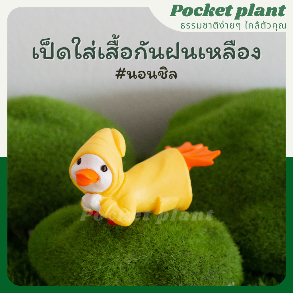 มุมมอง 5