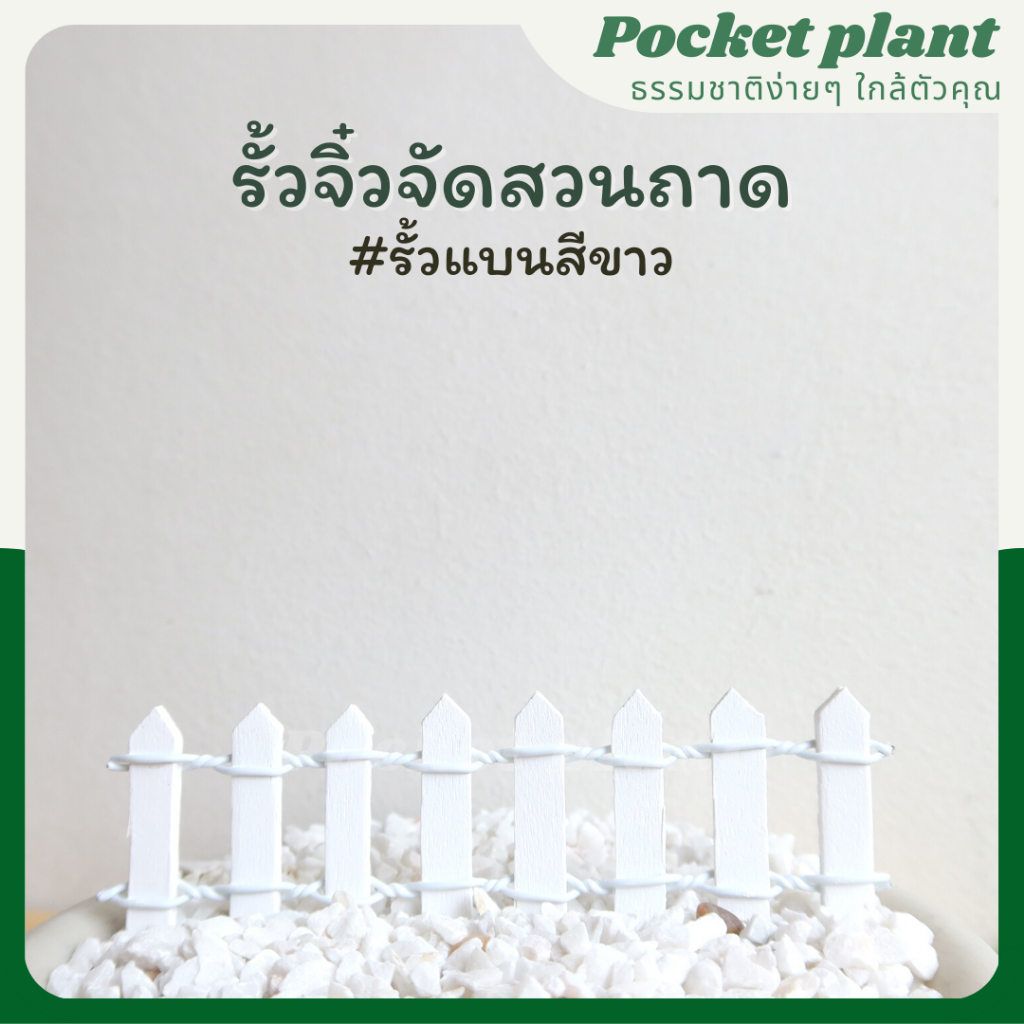 มุมมอง 5