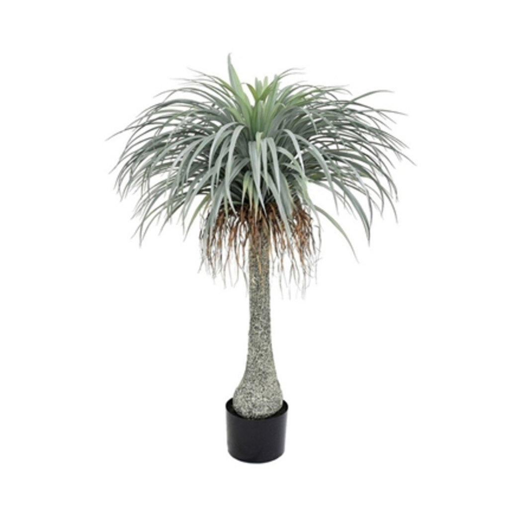 yfactory : ต้นไม้ยุคคา Yucca ต้นไม้ปลอม ตกแต่งบ้าน ต้นไม้ประดิษฐ์